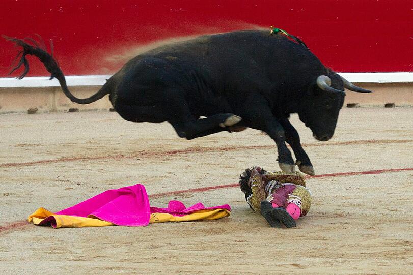 Aber auch diese Szenen gehören leider zum Festival und sind einer der Hauptauslöser der zahlreichen Proteste von Tierschutzorganisationen und sozialen Bewegungen - der Stierkampf sowie der traditionelle Stierlauf durch die Innenstadt von Pamplona.