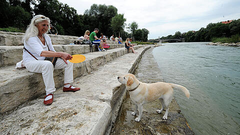 Münchner Hunden bleibt im Sommer zur Erfrischung oft nur die Isar. Das soll jetzt geändert werden.