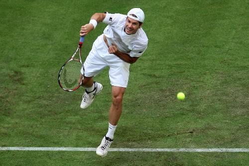 Fühlt sich wohl auf dem Rasen von Halle: Tommy Haas.