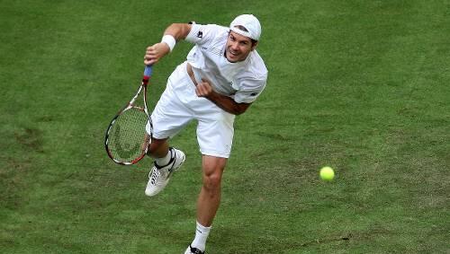 Fühlt sich wohl auf dem Rasen von Halle: Tommy Haas.