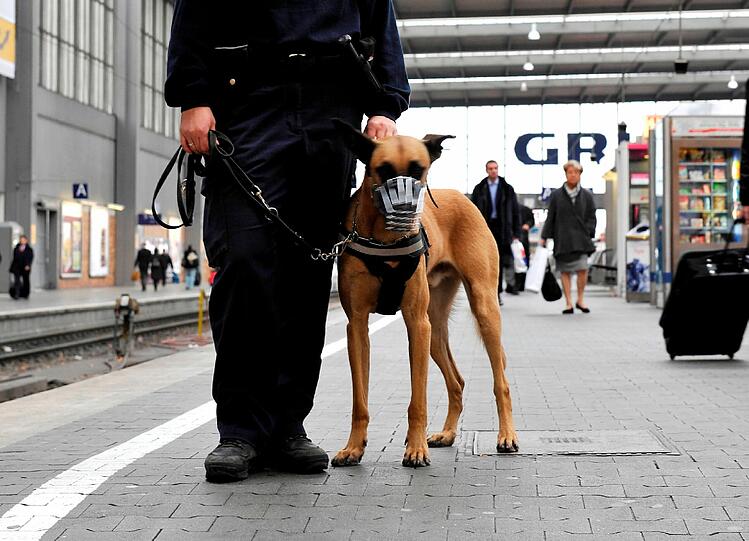 Der Diensthund konnte den Angriff abwehren. (Symbolbild)