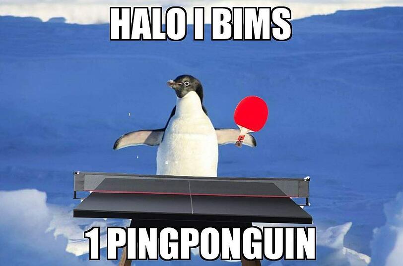 Ein PingPongguin