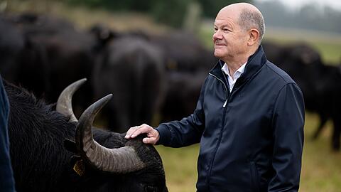 Hat als einfacher Abgeordneter nun mehr Zeit: Der frühere Bundeskanzler Olaf Scholz (SPD). (Archivbild)