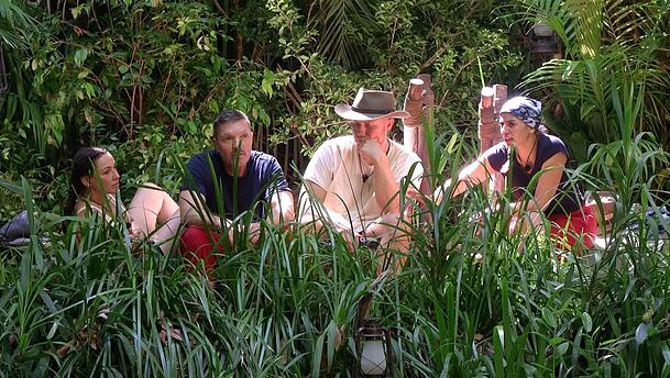 Simone Ballack, Hardy Krüger jr., Patrick Romer und Eva Benetatou schimpfen über Ariel Hediger Simone Ballack, Hardy Krüger jr., Patrick Romer und Eva Benetatou schimpfen über Ariel Hediger