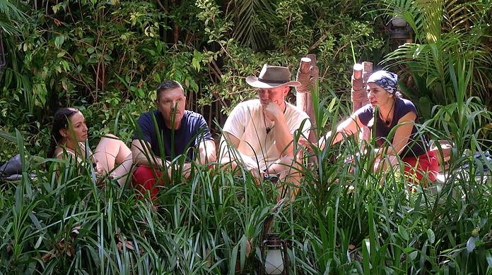 Zw&ouml;lf prominente Kandidaten sind ins Dschungelcamp gezogen.