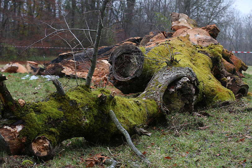 15. November 2021: der Morgen nach dem Brand - das Ende.