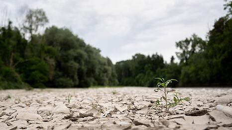Auch die Schweiz hat mit Wassermangel zu k&auml;mpfen.