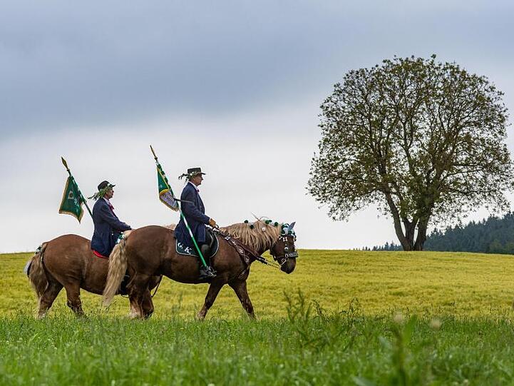 Teilnehmer des Kötztinger Pfingstritts reiten mit ihren Pferden durch die Landschaft. Foto: Armin Weigel
