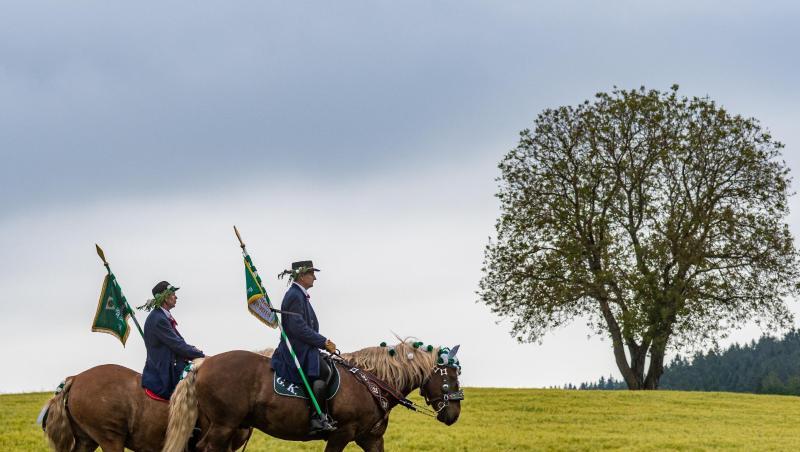Teilnehmer des Kötztinger Pfingstritts reiten mit ihren Pferden durch die Landschaft. Foto: Armin Weigel Teilnehmer des Kötztinger Pfingstritts reiten mit ihren Pferden durch die Landschaft. Foto: Armin Weigel