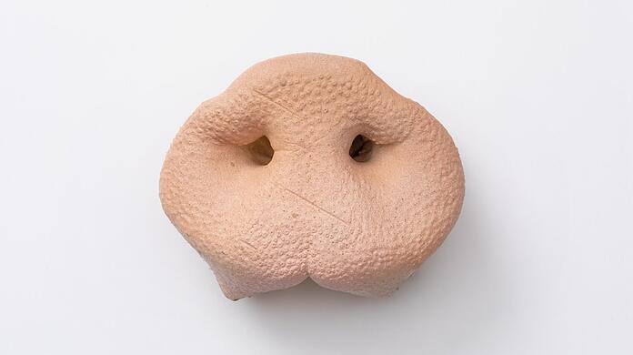 Gummi oder Latex? Der Münchner Patrik Graf hat für seine markante Brosche tatsächlich eine echte Schweinsnase bearbeitet.