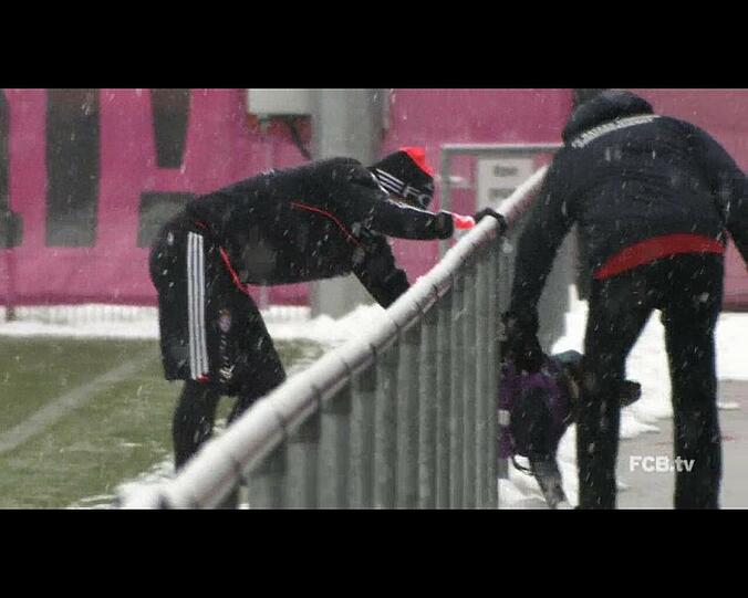 Durch die Gitter führt Schweinsteiger den Hund vom Rasen.