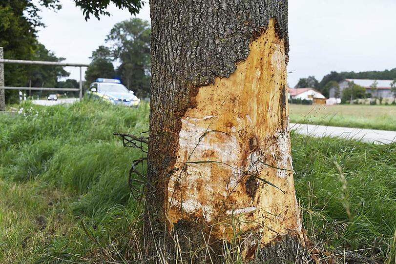 Gegen diesen Baum ist der 19-Jährige geprallt.