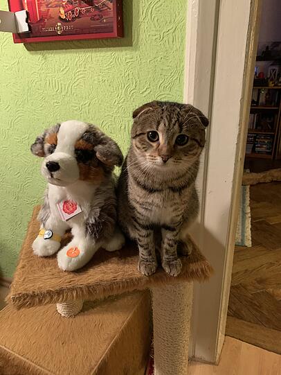 Pepper