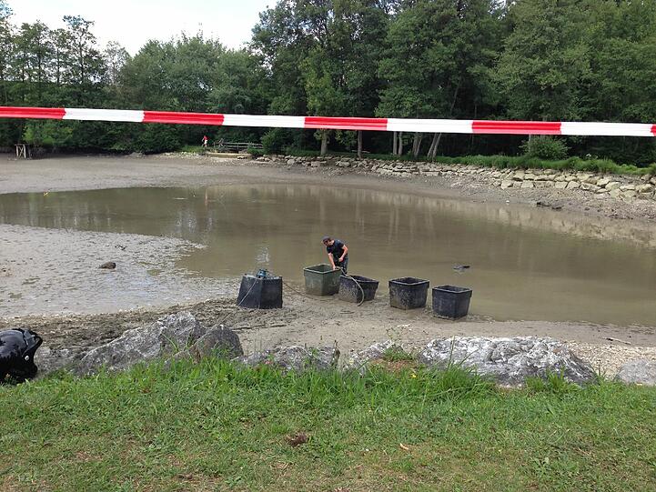 Bilder von der Lotti-Suche