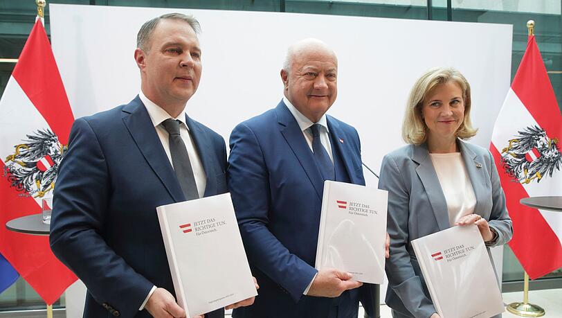 Die neue Dreier-Koalition in Österreich hat ein 200-seitiges Arbeitsprogramm vorgelegt.