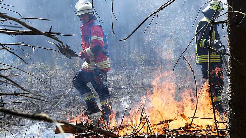 Insgesamt brannte fast ein Hektar frisch aufgeforsteter Wald. Die Feuerwehr musste das Wasser zur Einsatzstelle transportieren...