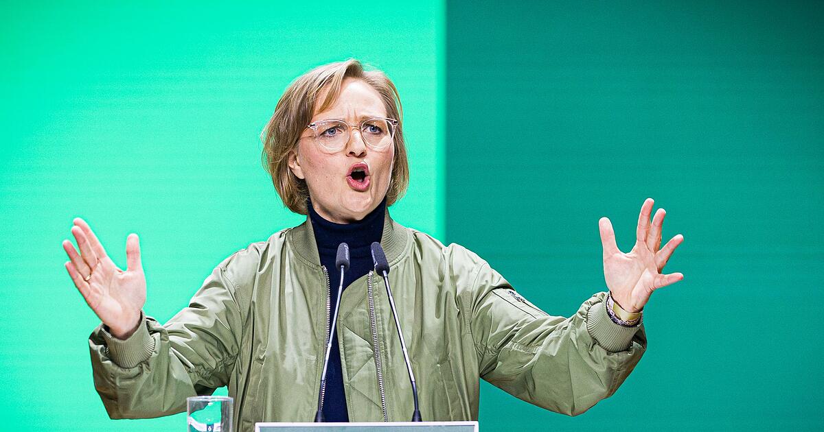 -Mittelfinger-und-Verrat-Brantner-will-Gr-ne-aufr-tteln