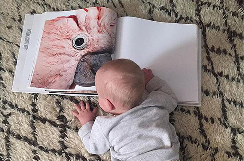 Liv Tylers Sohn staunt nicht schlecht beim Betrachten der großen Tieraufnahme.