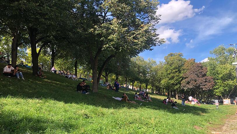 Gemütliche Stimmung im Schatten der Bäume. Gemütliche Stimmung im Schatten der Bäume.