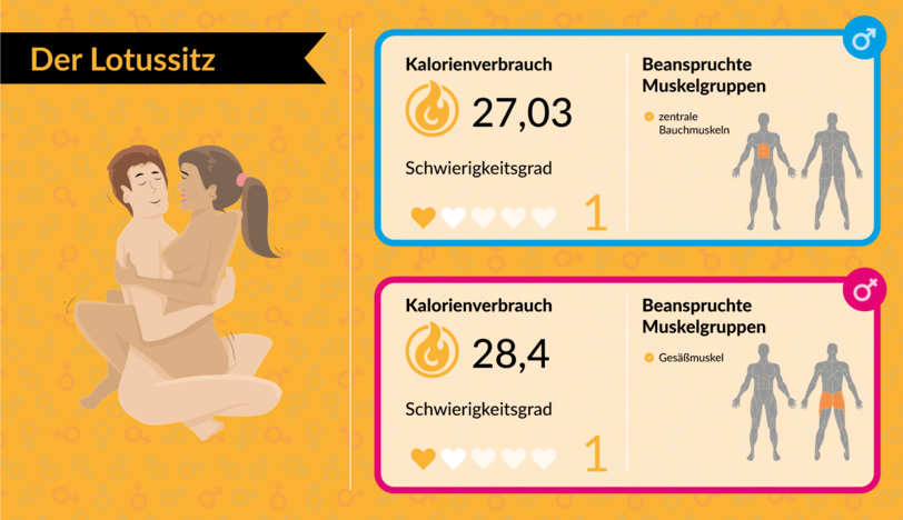Mit Bettsport fit für den Sommer: Mit Sex abnehmen: Welche Stellungen am meisten Kalorien verbrennen - AZ-Ratgeber - Abendzeitung München
