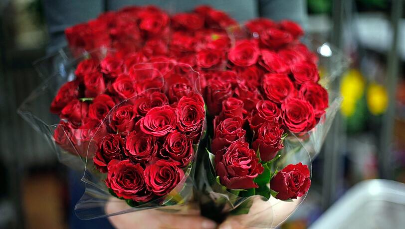 Zum Weltfrauentag verteilt die Giesinger SPD am Samstag Rosen. Zum Weltfrauentag verteilt die Giesinger SPD am Samstag Rosen.