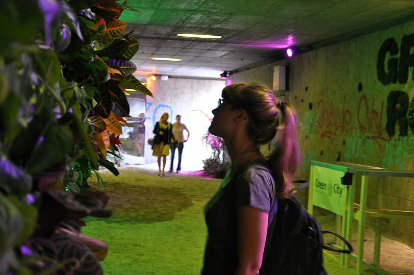 Pflanzen, Sand und Klang sorgen fürs Urwald-Gefühl.