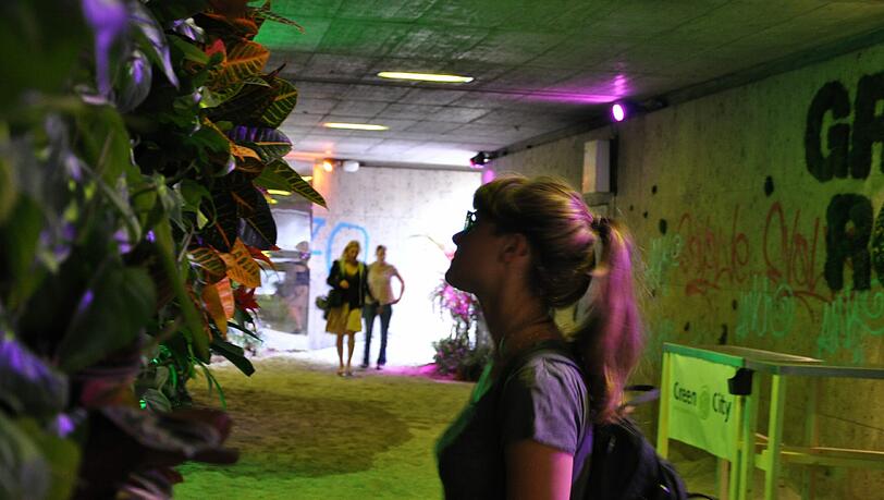 Pflanzen, Sand und Klang sorgen fürs Urwald-Gefühl. Pflanzen, Sand und Klang sorgen fürs Urwald-Gefühl.