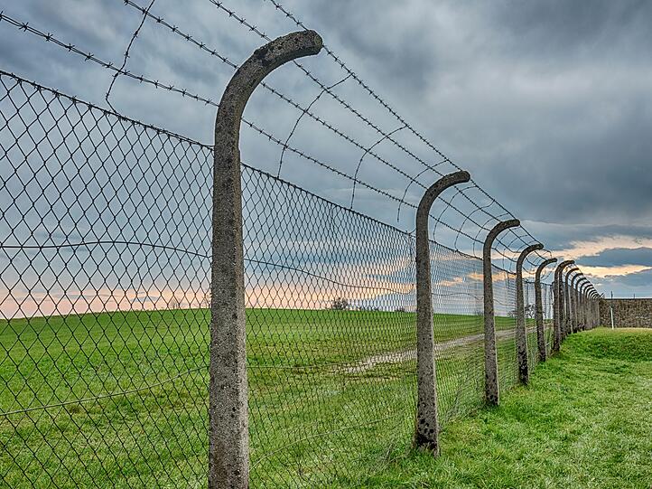 Elf Monate &uuml;berlebte der afro-karibische Seemann Lionel Romney im KZ Mauthausen, bevor er von den US-Amerikanern befreit wurde.