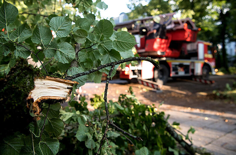 Nach dem schweren Gewitter am Donnerstag über München rückten die Feuerwehren zu zahlreichen Einsätzen aus. Die Bilder.