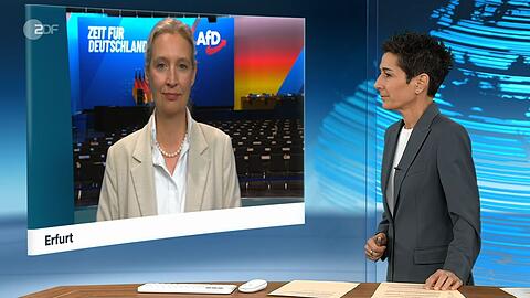 Ein konfliktgeladenes "heute journal"-Interview von Moderatorin Dunja Hayali (rechts) mit AfD-Chefin Alice Weidel ging in den letzten Tagen viral.