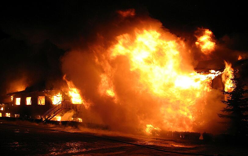 Feuer-Drama auf einer Farm in Ebhausen: 85 Kamele sterben in den Flammen