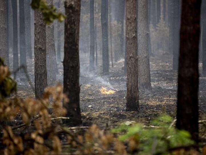 Ob der Regen half, den Brand einzudämmen, konnte eine Sprecherin der Stadt Jüterbog zunächst nicht einschätzen.