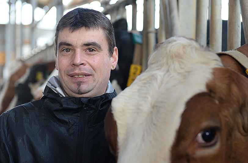 Landwirte wie Uwe Bauer leiden unter dem niedrigen Milchpreis. Foto: Felix Kästle
