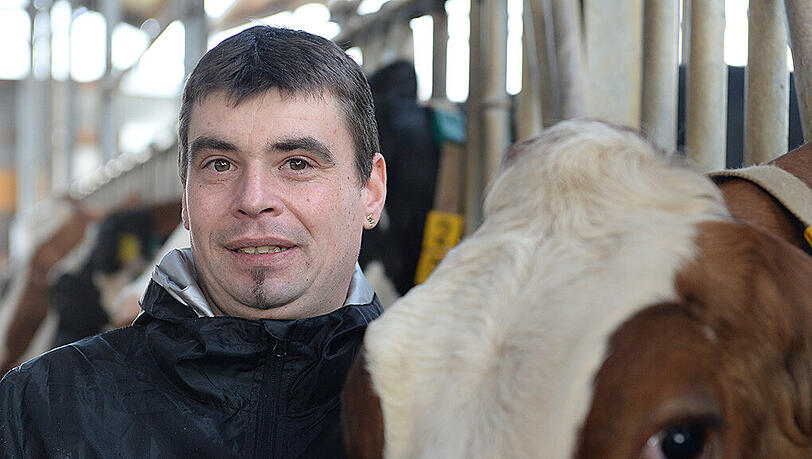 Landwirte wie Uwe Bauer leiden unter dem niedrigen Milchpreis. Foto: Felix Kästle Landwirte wie Uwe Bauer leiden unter dem niedrigen Milchpreis. Foto: Felix Kästle