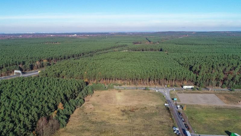 Auf diesem rund 300 Hektar großen Grundstück in Brandenburg will US-Elektroautobauer Tesla eine Fabrik bauen. Auf diesem rund 300 Hektar großen Grundstück in Brandenburg will US-Elektroautobauer Tesla eine Fabrik bauen.