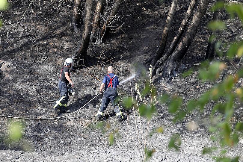 "Es hat mit einem Böschungsbrand angefangen, der hat auf Wohnhäuser übergegriffen", sagte ein Polizeisprecher.