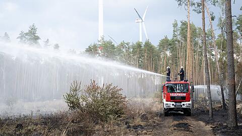 Feuerwehrleute löschen in einem Wald. (Symbolbild)