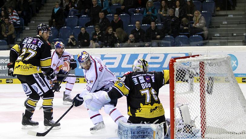 Der EHC Red Bull München um Stürmer Daniel Sparre setzte sich bei den Krefeld Pinguins durch. Der EHC Red Bull München um Stürmer Daniel Sparre setzte sich bei den Krefeld Pinguins durch.