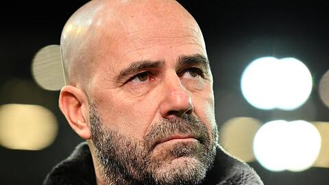 Peter Bosz, Trainer von Bayer Leverkusen, blickt in die Kamera. Foto: Torsten Silz/Archivbild