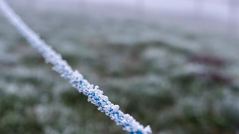 Eisige Temperaturen im Hochschwarzwald