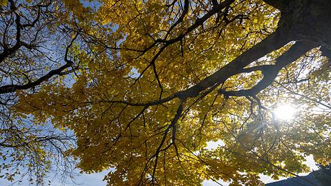 Auf mildes Herbstwetter am Samstag folgte am Sonntag vielerorts reichlich Regen.