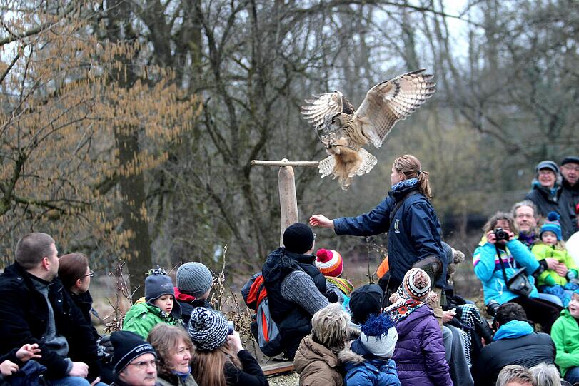 Die Greifvogel-Show im Tierpark hat jetzt eine richtige Zuschauertribüne bekommen. Am Dienstag wurde sie eröffnet.