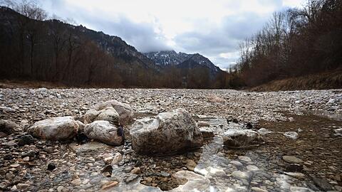 Nur wenig Wasser führt der Gebirgsbach Pöllat.