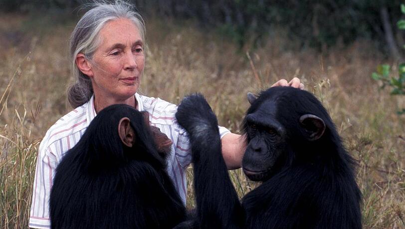 Als Inspiration für ihren bereits als Kind gehegten Wunsch, in der Wildnis unter Tieren zu leben, nennt Jane Goodall oft die Kinderbuchreihen Doctor Dolittle und Tarzan. Scherzend sagt sie, sie sei enttäuscht gewesen, weil Tarzan die falsche Jane geheiratet habe.