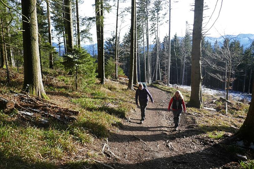 Die leichte Wanderung zwischen Schliersee und Miesbach eignet sich gut für eine Tour im Frühjahr. Die leichte Wanderung zwischen Schliersee und Miesbach eignet sich gut für eine Tour im Frühjahr.