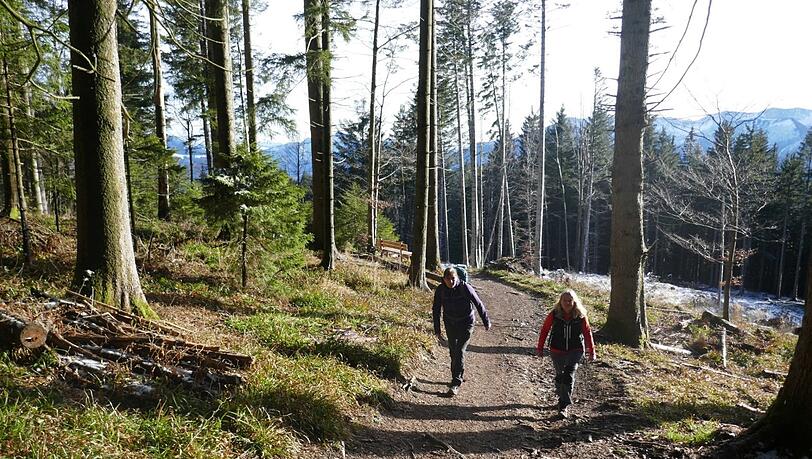 Die leichte Wanderung zwischen Schliersee und Miesbach eignet sich gut für eine Tour im Frühjahr. Die leichte Wanderung zwischen Schliersee und Miesbach eignet sich gut für eine Tour im Frühjahr.
