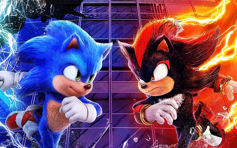 Mit Shadow (rechts) trifft Sonic seinen bislang st&auml;rksten Gegner.