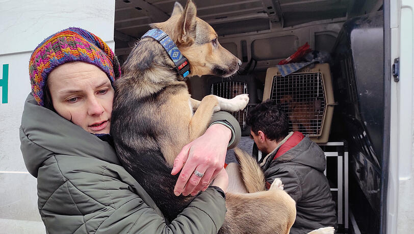 Eine Frau trägt einen Hund während der Evakuierung von Tieren ausgefährlichen Gebieten der ukrainischen Hauptstadt Kiew.