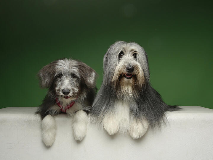 Lilly und Betty