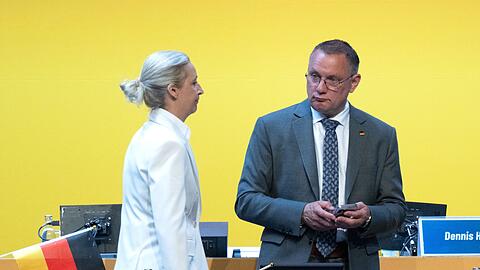 F&uuml;r Alice Weidel lief die Wiederwahl zur Bundesvorsitzenden etwas besser als f&uuml;r den Co-Vorsitzenden, Tino Chrupalla.